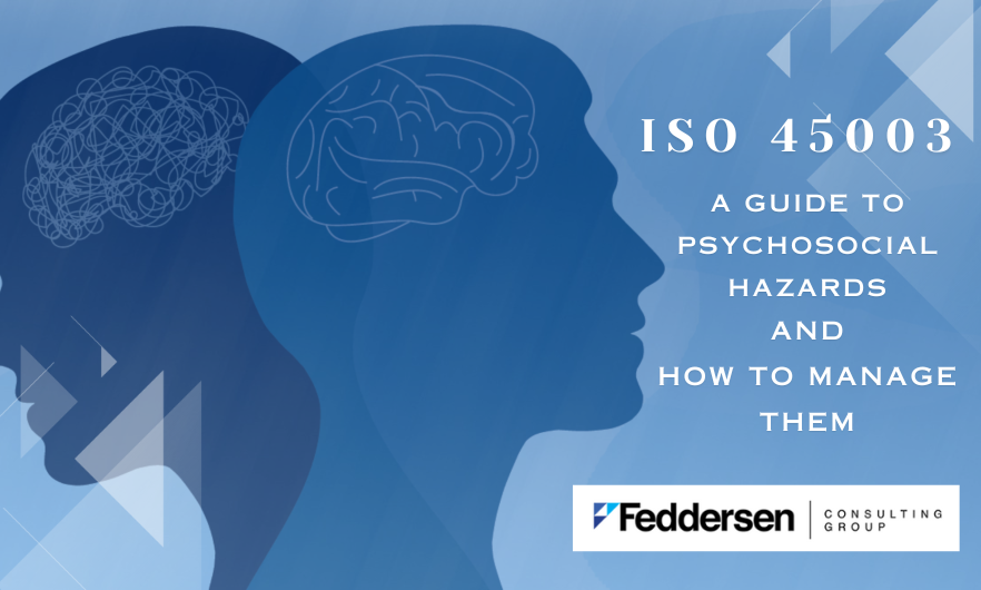 ISO 45003: A Guide to Psychosocial Hazards - Image